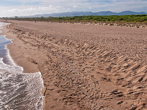 Imatge de la platja de Viladecans