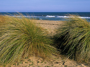 Imatge de la platja de Castelldefels