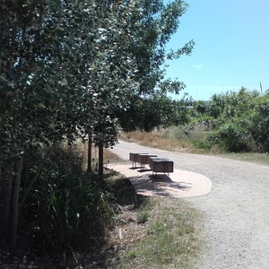 Riera de la Salut - Parc Llobregat - Planta depuradora