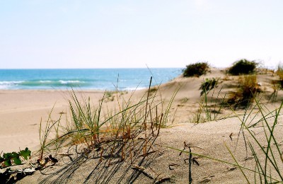 Imatge de les platges