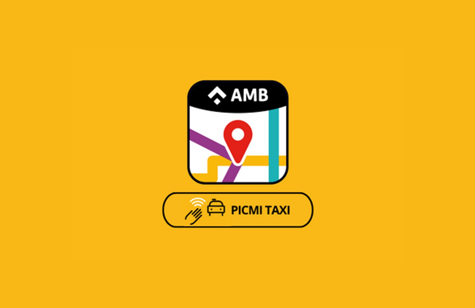 Què és Picmi Taxi?